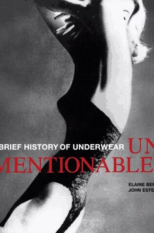 Cover of Unmentionables