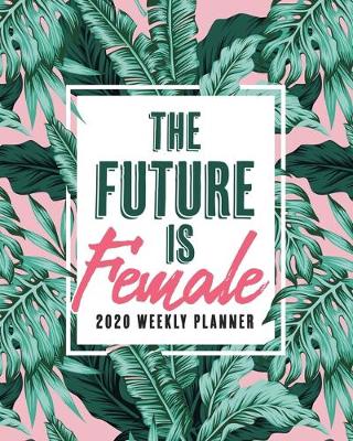 Book cover for The Future is Female