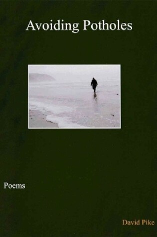 Cover of A Avoiding Potholes poems by Pulsar Poetry Webzine editor David Pike