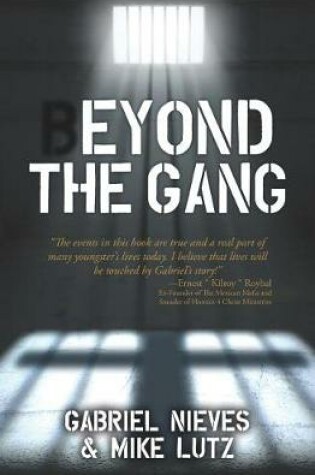 Cover of Beyond the Gang