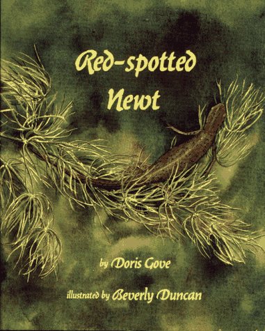 Book cover for Red-Spotted Newt