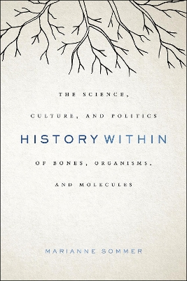 Book cover for History Within