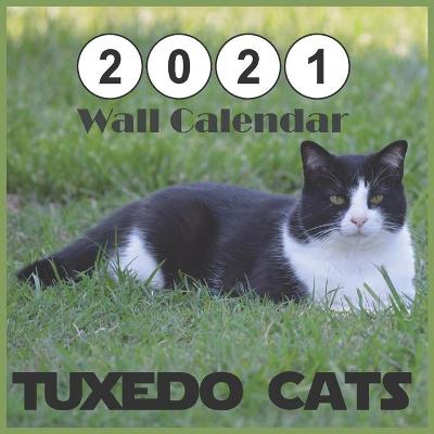 Book cover for Tuxedo Cats