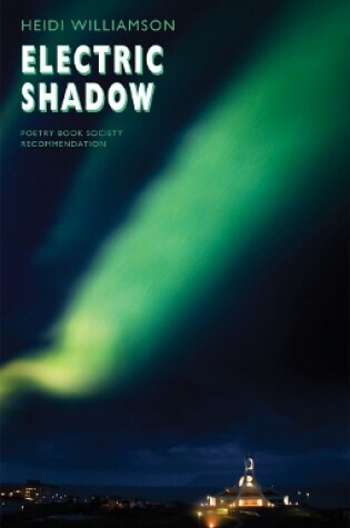 Cover of Electric Shadow