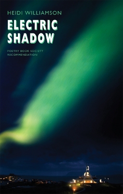 Book cover for Electric Shadow