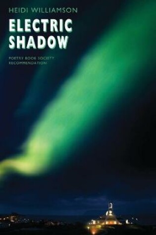 Cover of Electric Shadow