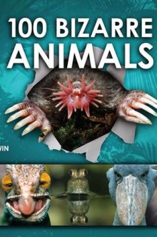 Cover of 100 Bizarre Animals