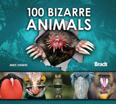 Book cover for 100 Bizarre Animals