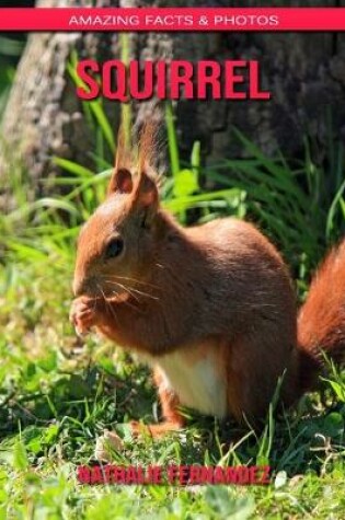 Cover of Squirrel