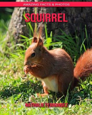 Book cover for Squirrel