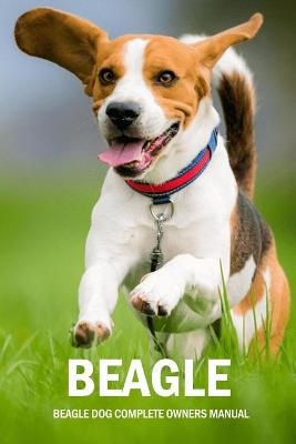 Book cover for Beagle