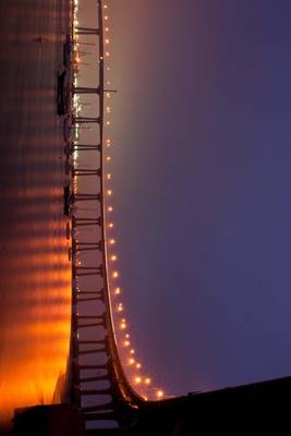 Book cover for Website Password Organizer San Diego Coronado Bridge at Sunset