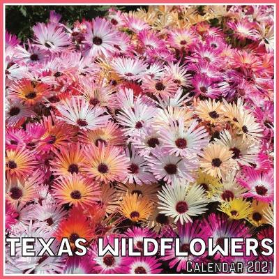 Book cover for Texas Wildflowers Calendar 2021