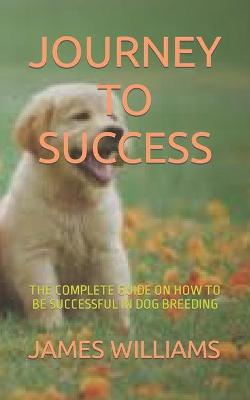 Book cover for Journey to Success