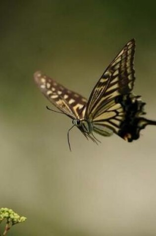 Cover of Swallowtail Notebook