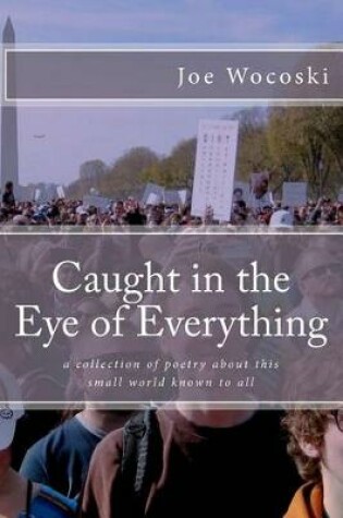 Cover of Caught in the Eye of Everything