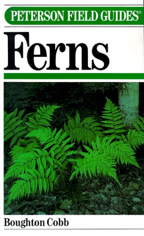 Book cover for Field Guide to Ferns and Their Related Families