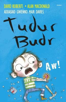 Book cover for Tudur Budr: Aw!