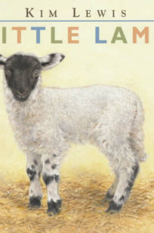 Cover of Little Lamb Board Book