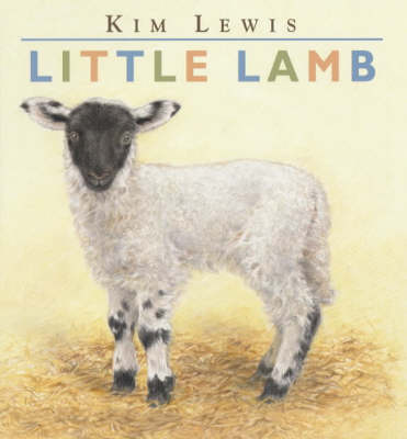 Book cover for Little Lamb Board Book