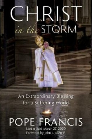 Cover of Christ in the Storm