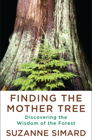 Cover of Finding the Mother Tree