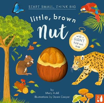 Book cover for Little, Brown Nut