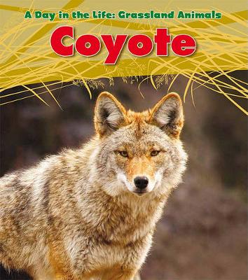 Book cover for Coyote