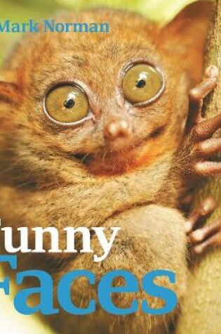 Cover of Funny Faces