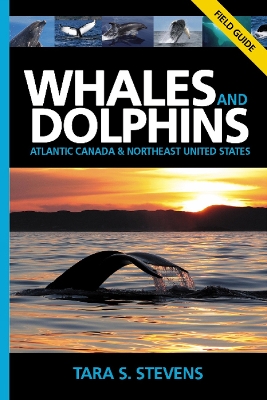 Book cover for Whales & Dolphins of Atlantic Canada & Northeast United States