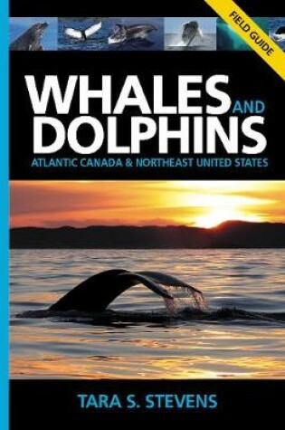 Cover of Whales & Dolphins of Atlantic Canada & Northeast United States