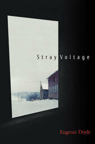 Cover of Stray Voltage