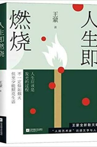 Cover of Wang Meng