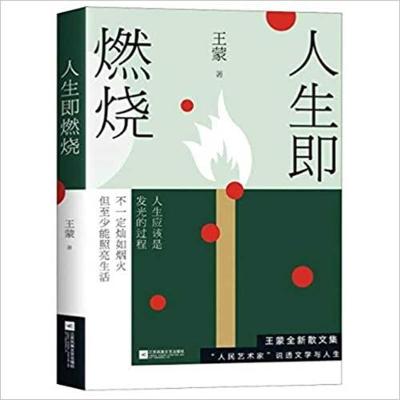 Book cover for Wang Meng