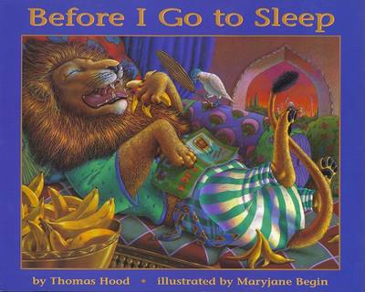 Book cover for Before I Go to Sleep