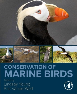 Book cover for Conservation of Marine Birds