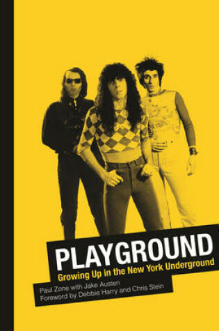 Cover of Playground