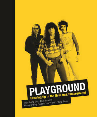 Book cover for Playground