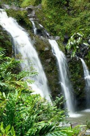 Cover of Hawaiian Waterfall in the Rainforest, Hawaii