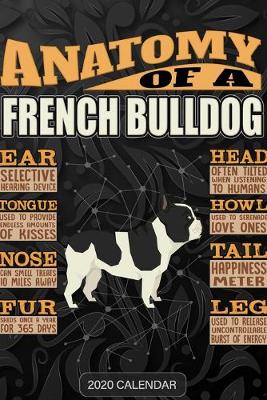 Book cover for Anatomy Of A French Bulldog