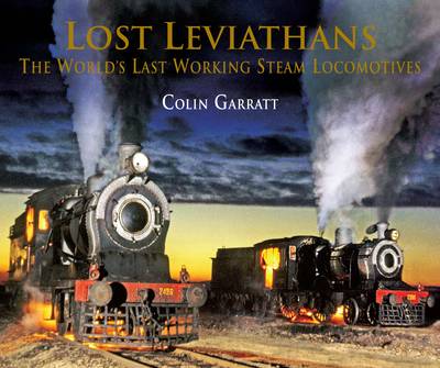 Book cover for Lost Leviathans