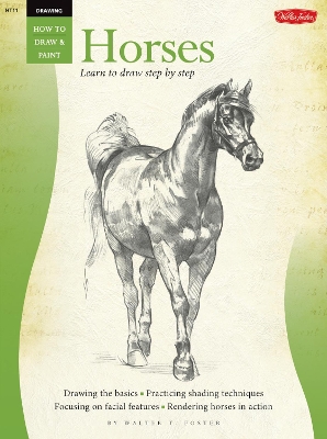 Book cover for Drawing: Horses
