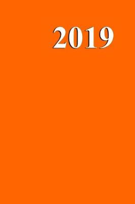 Cover of 2019 Daily Planner Safety Orange Color 384 Pages