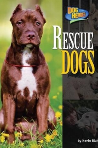 Cover of Rescue Dogs