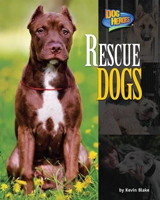 Book cover for Rescue Dogs