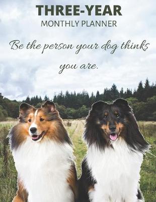 Book cover for Three Year Monthly Planner Starting 2020 Agenda with Weekly Plan Space - Best Gift For Dog Owner - Funny Border Collie Appointment Book for 2021 & 2022