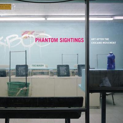 Book cover for Phantom Sightings