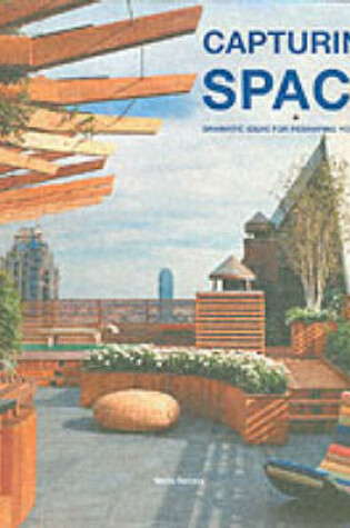 Cover of Capturing Space