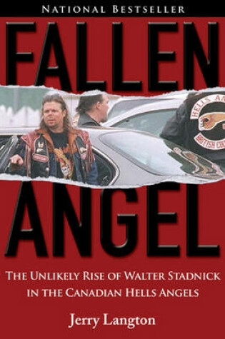 Cover of Fallen Angel