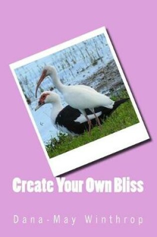 Cover of Create Your Own Bliss